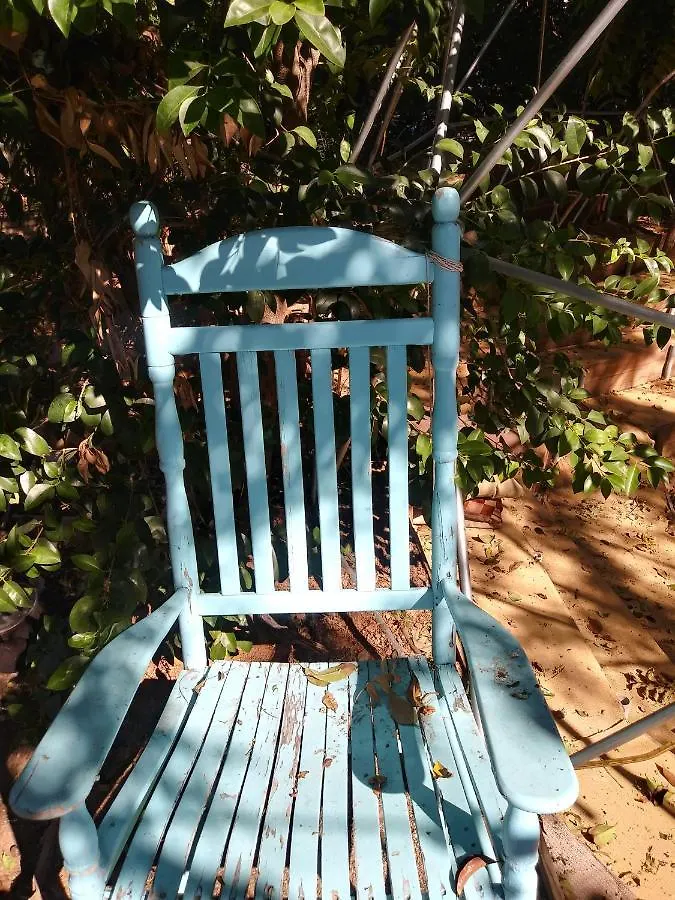 Enchanted Forest Phoenix Bed & Breakfast